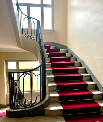image des escaliers avec tapis rouge